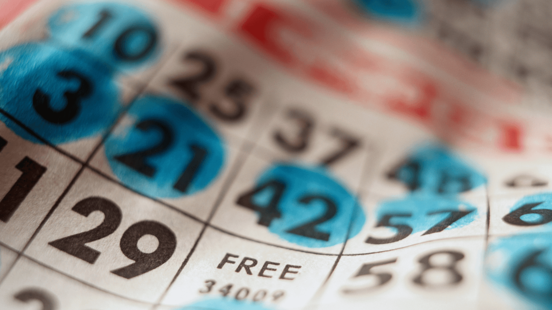 Sve o online Bingo karticama i pozivima image