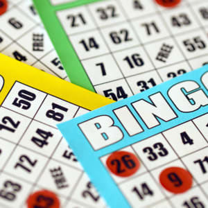 NauÄ�ite kako igrati Bingo na mreÅ¾i